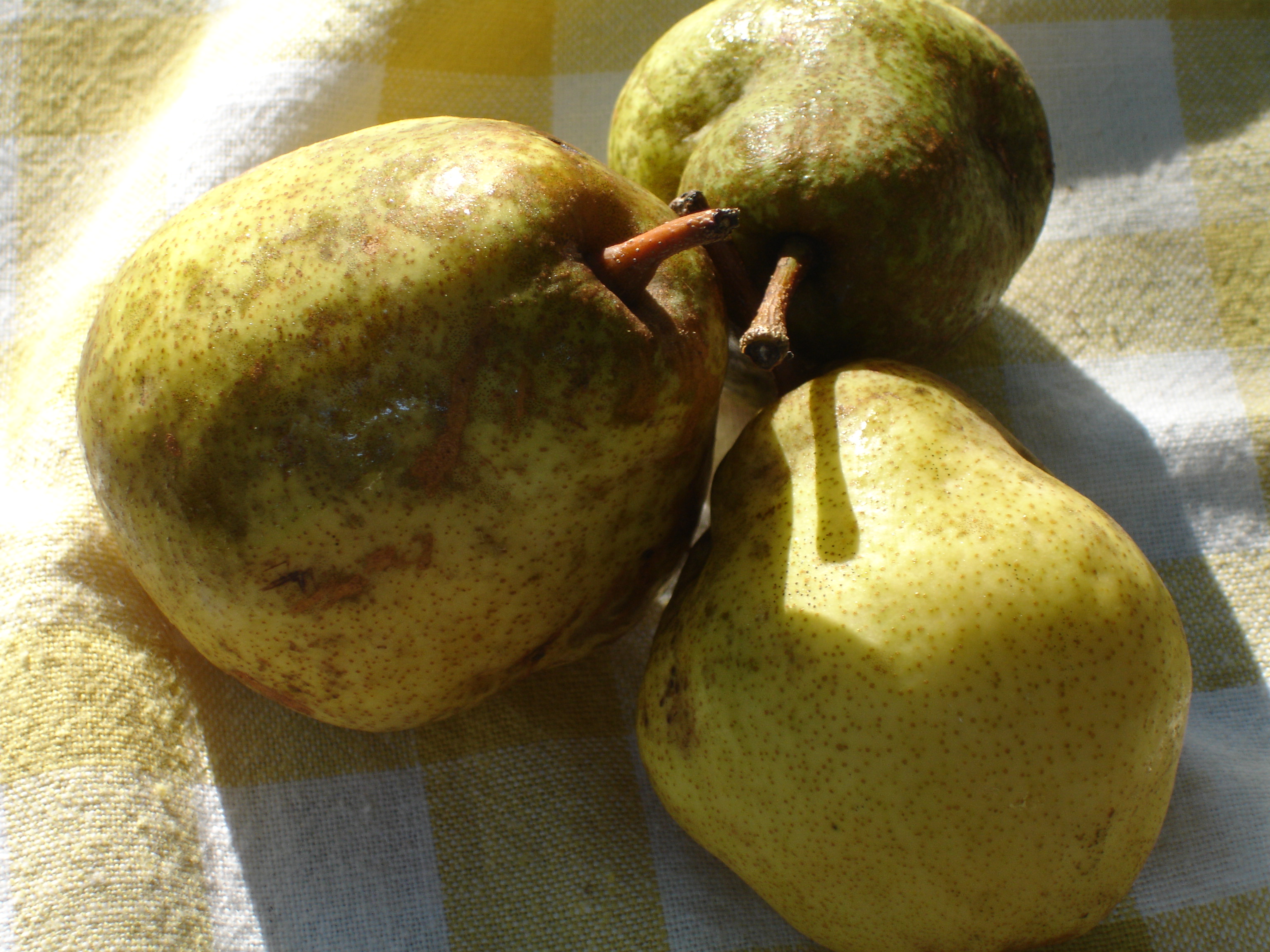 pears pictures