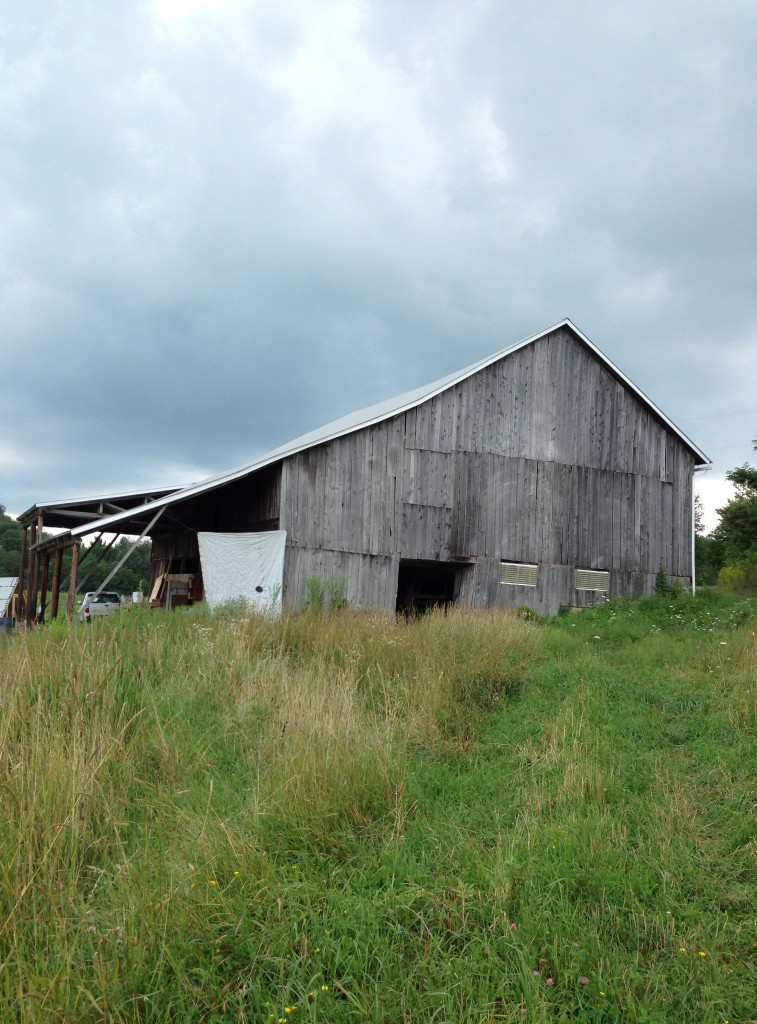 Main Barn at Savage River Farm in Garrett County Maryland