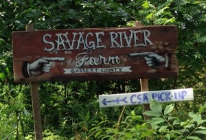 Savage River Farm sign in Garrett County Maryland