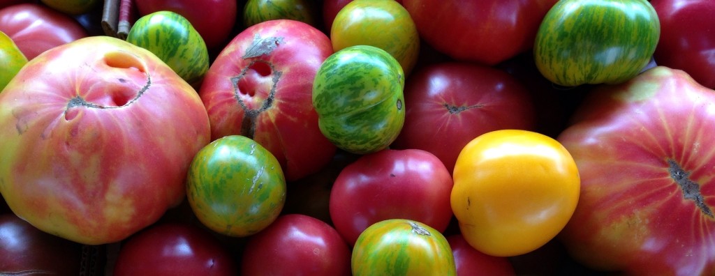 Heirloom Tomatoes from the Farmers Market