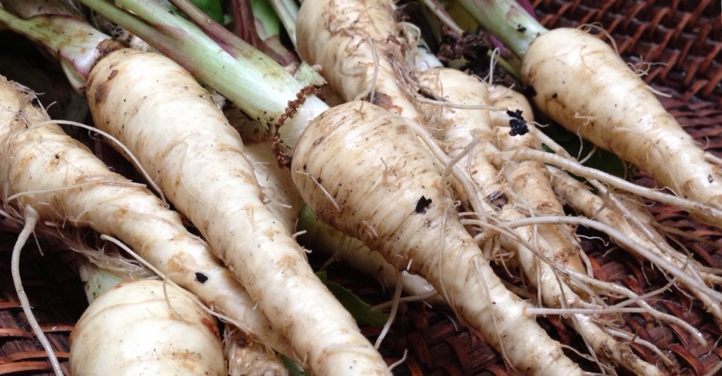 Raw Unwashed Parsnips