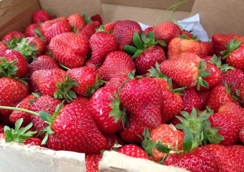 Whitted-Bowers Farm Strawberries