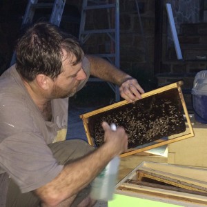 Spraying sugar water to attract & feed the hive