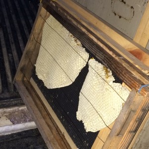 The original combs from the hive go in last in the center