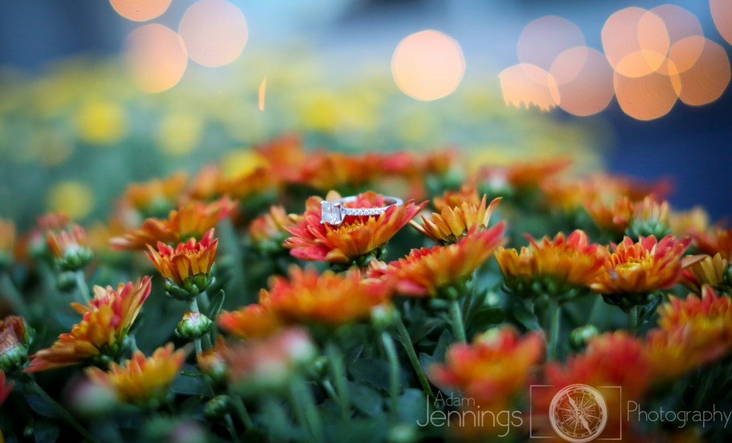 Fall colors by Adam Jennings Photography