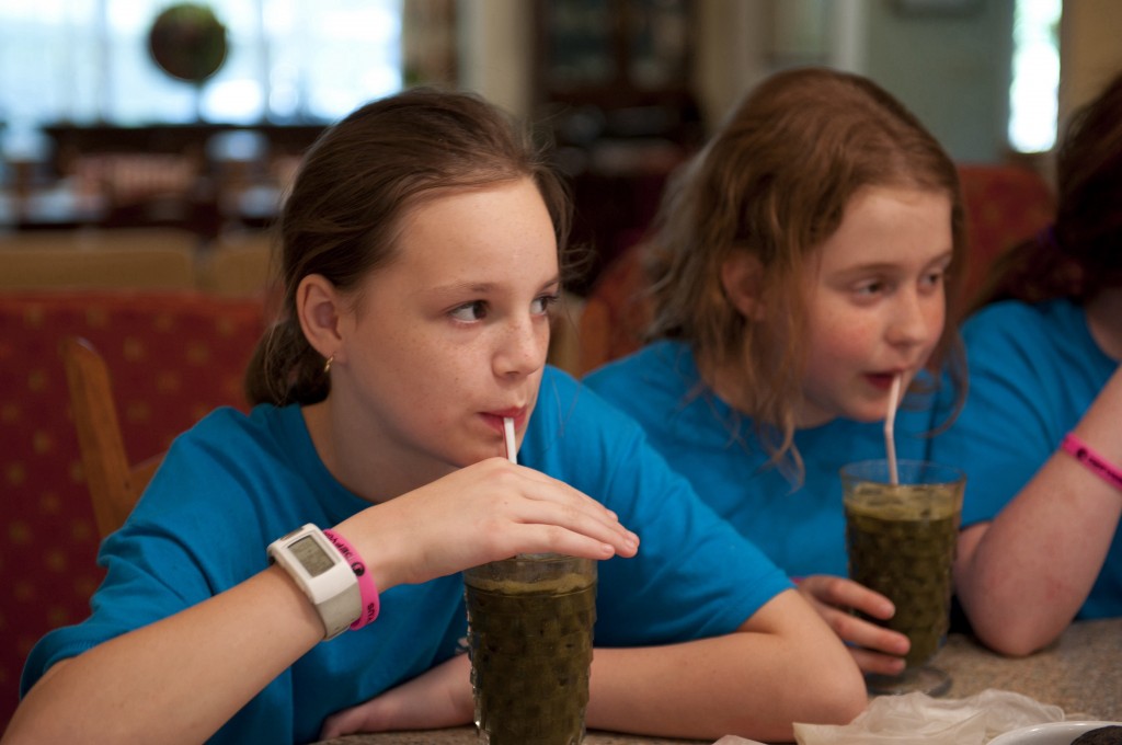 Green Smoothies made with chard, strawberries, peaches, lemon verbena, pineapple sage, dried apples, coconut water. Image copyright CaseyBoonePhotography.com